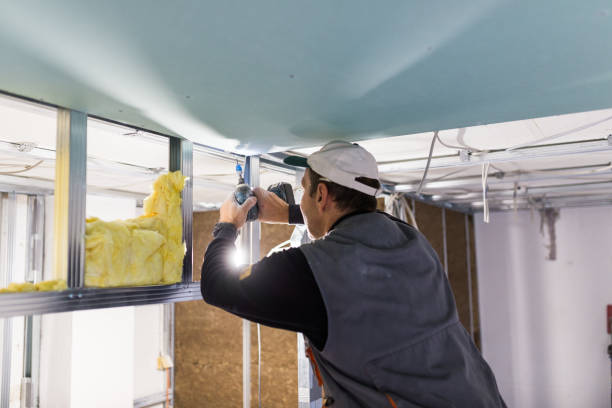 Best Soundproof Insulation Installation  in Chama, NM