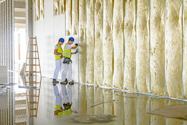 Best Wall Insulation Contractor  in Chama, NM